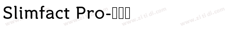 Slimfact Pro字体转换